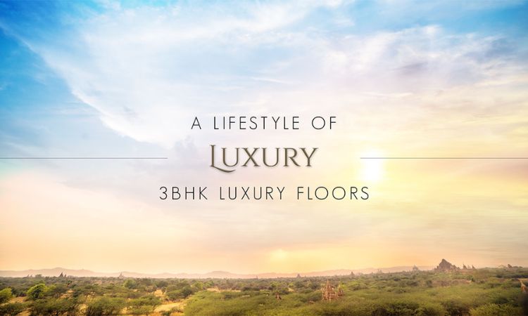 Standard Floor Layout